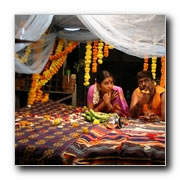 Pachai Kutharai Gallery